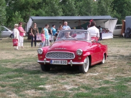 falunap2013_87_20180901